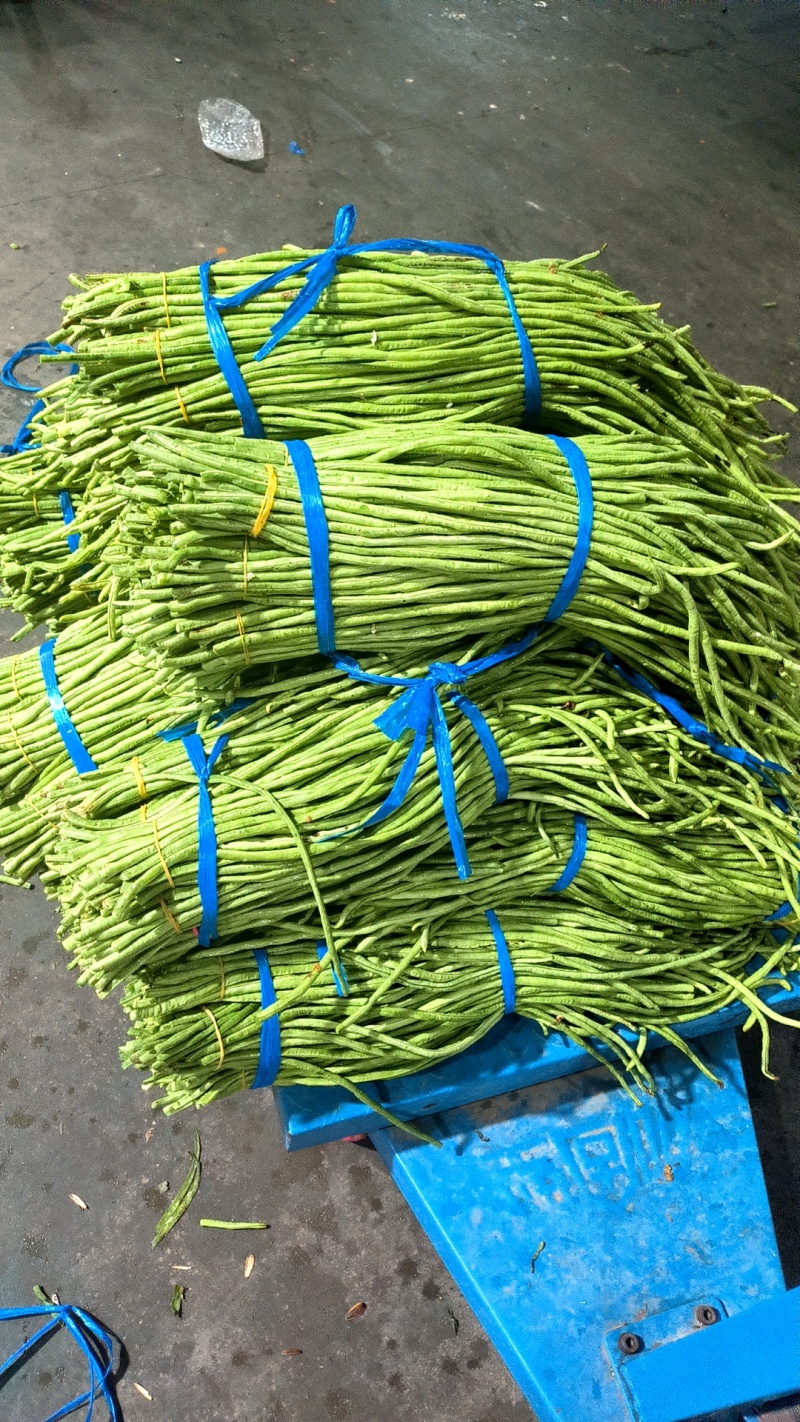 广西长豇豆