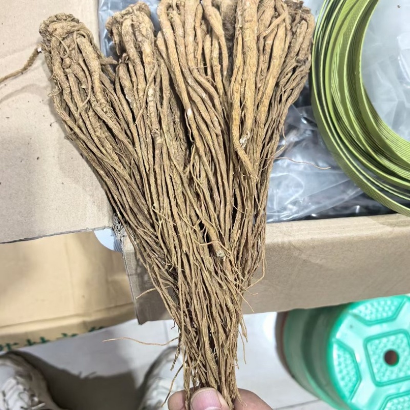 当归片当归个子当归头可视频看货对接全国市场量大