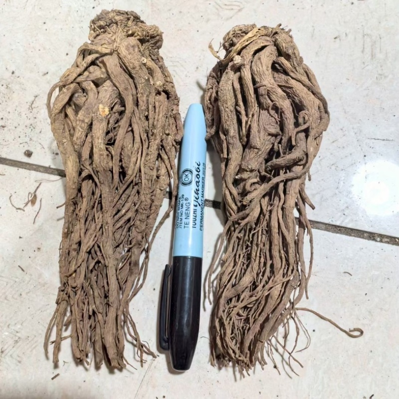 当归片当归个子当归头可视频看货对接全国市场量大