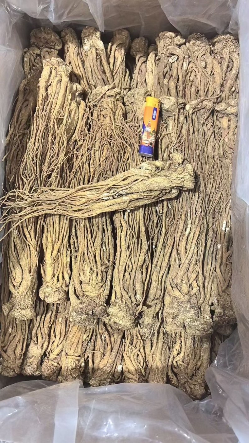 当归片当归个子当归头可视频看货对接全国市场量大