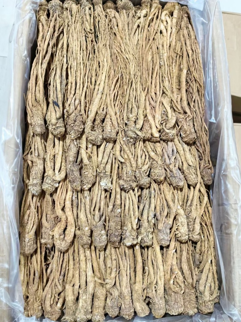 当归片当归个子当归头可视频看货对接全国市场量大