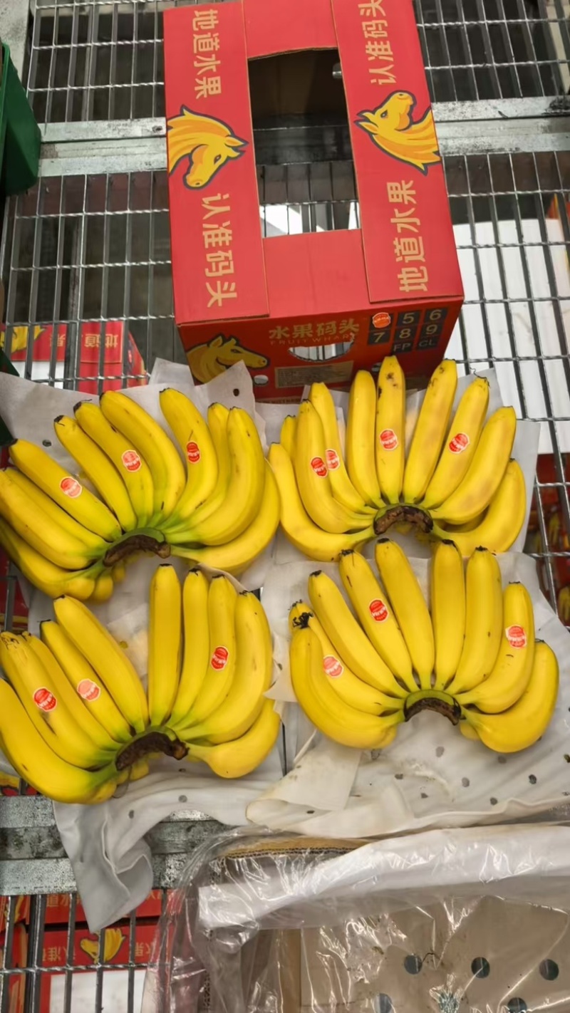 二级黄香蕉.青香蕉每天大匹狼现货
