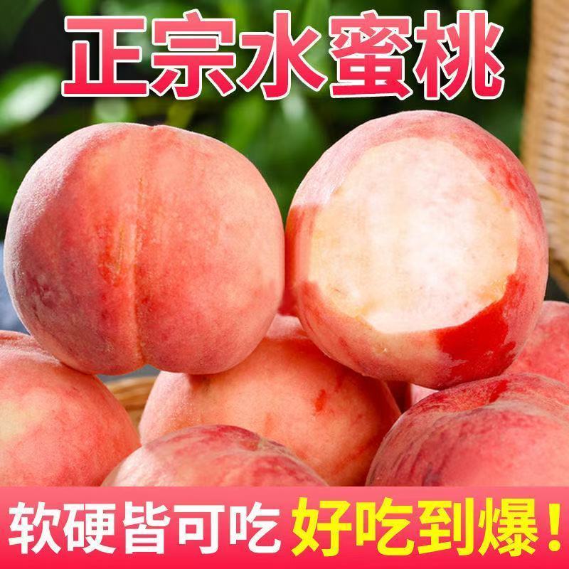 水蜜桃脆甜山西运城对接各大电商一件代发日供3万单