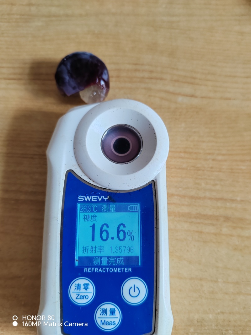 夏黑葡萄大量有货有需要的老板联系我，