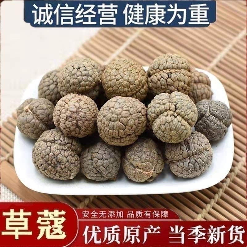 广西正品草寇草豆寇当季新品无硫产地农户直供