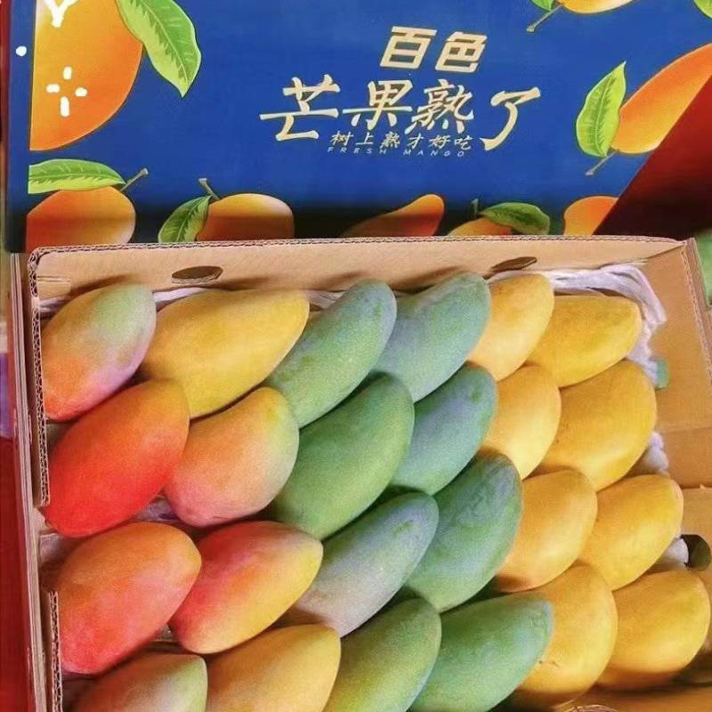 台农金煌贵妃