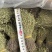 独脚金青绿短货A货源头直供全国发货