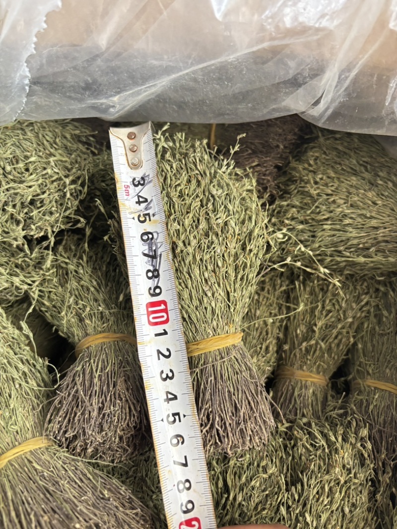 独脚金青绿短货A货源头直供全国发货