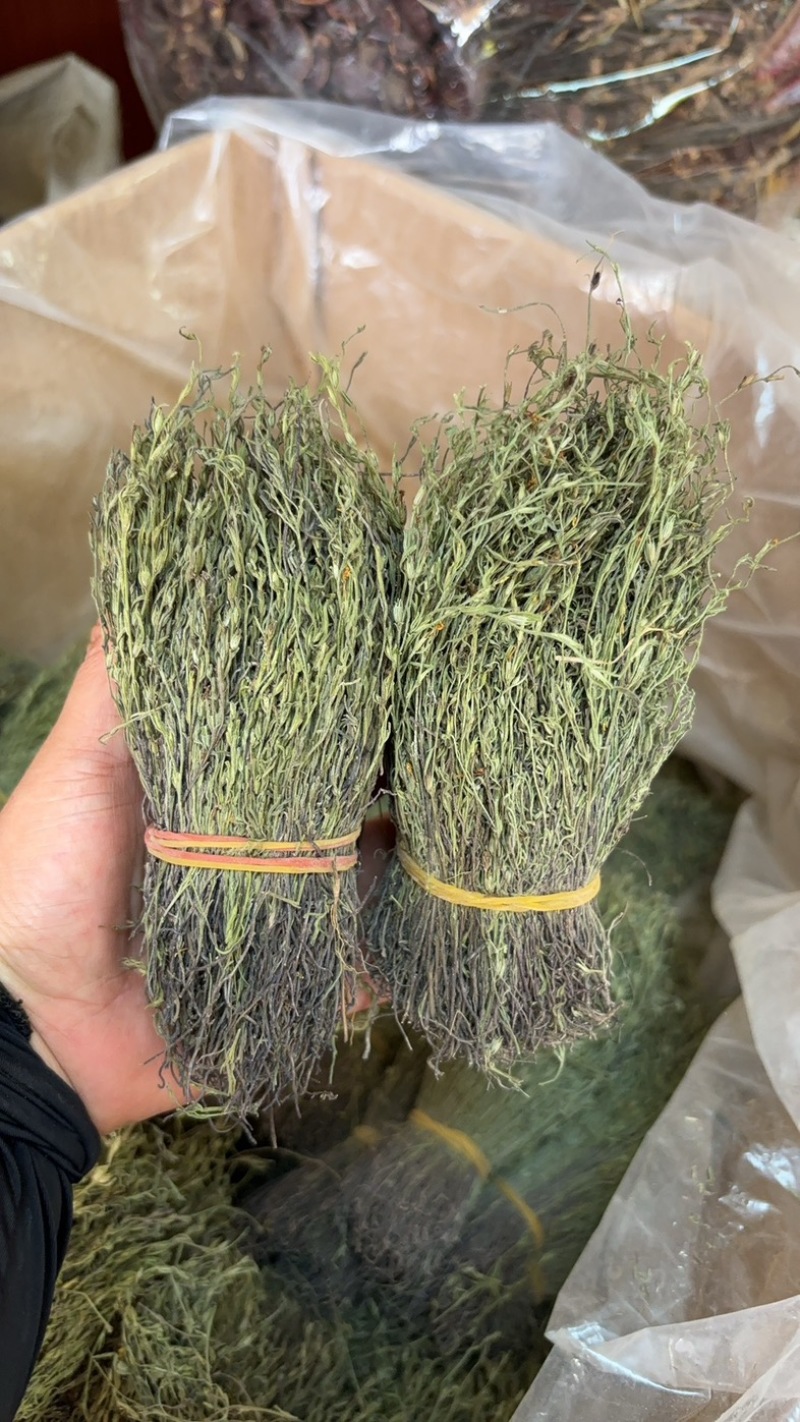 独脚金青绿短货A货源头直供全国发货