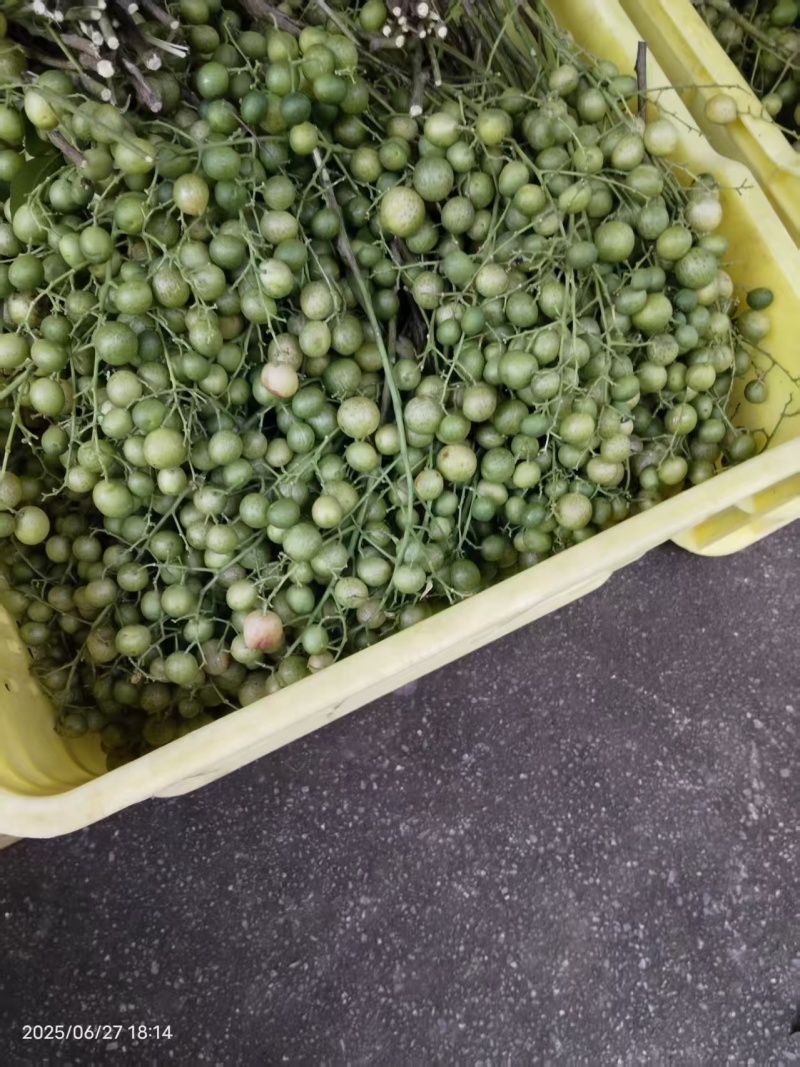 鲜山黄皮