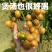 黄皮果新鲜现摘新鲜水果批发价顺丰包邮广东特产黄皮鸡心黄皮现摘