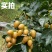 黄皮果新鲜现摘新鲜水果批发价顺丰包邮广东特产黄皮鸡心黄皮现摘