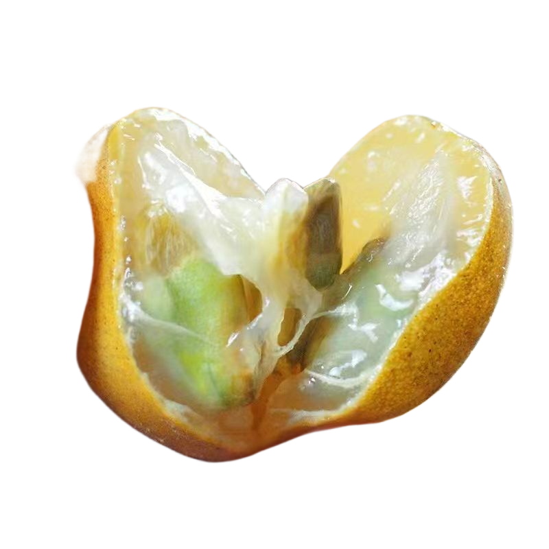 黄皮果新鲜现摘新鲜水果批发价顺丰包邮广东特产黄皮鸡心黄皮