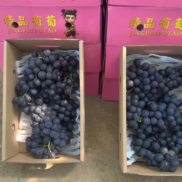 精品玫瑰香葡萄礼盒