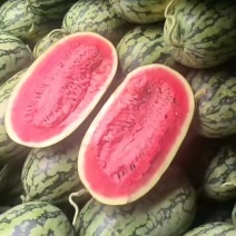 坡地绿赏西瓜