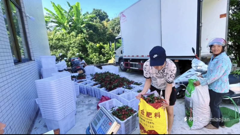 原产地桂味，1块5一斤