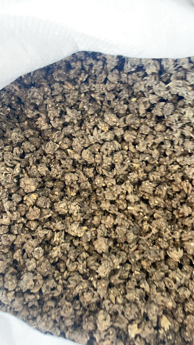 水洗两遍各种猫爪草黄皮黑皮