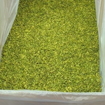 金银花