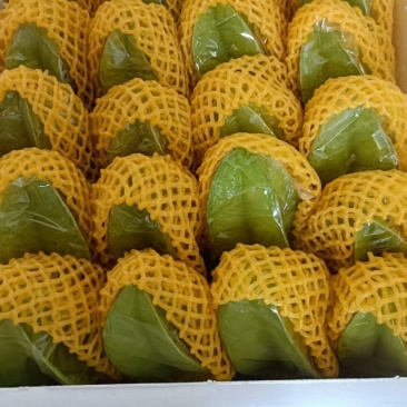 杨桃