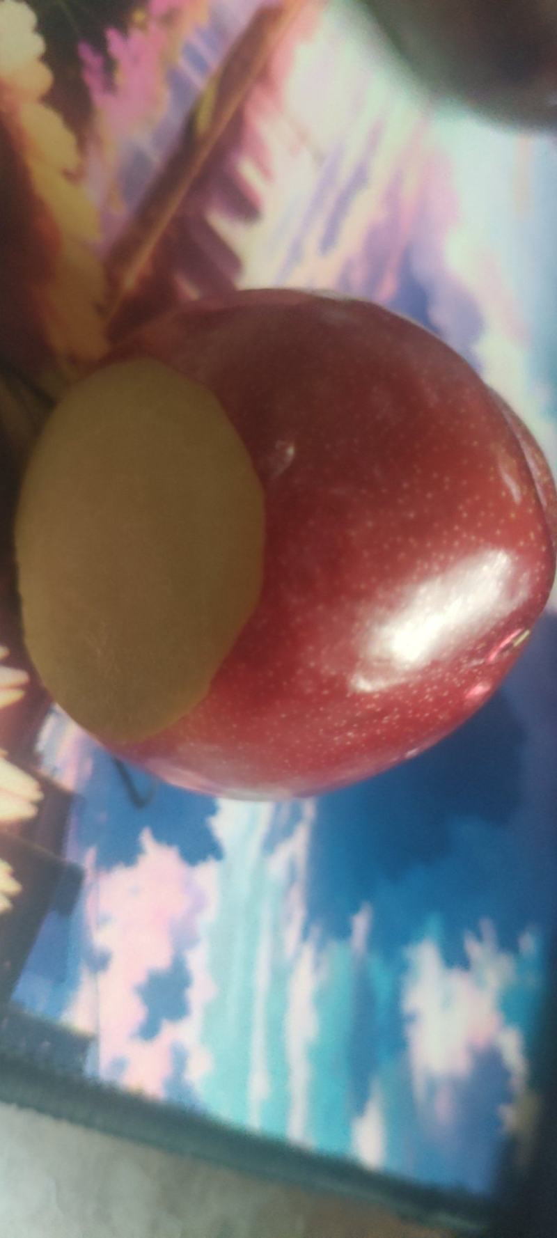 黑布林，黑琥珀