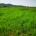 500亩山地出租
