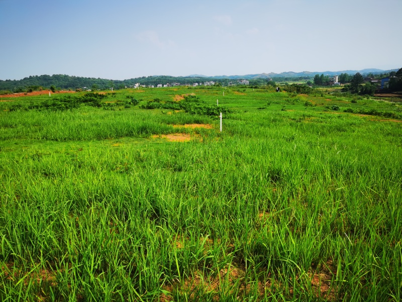 500亩山地出租