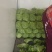 甘蓝