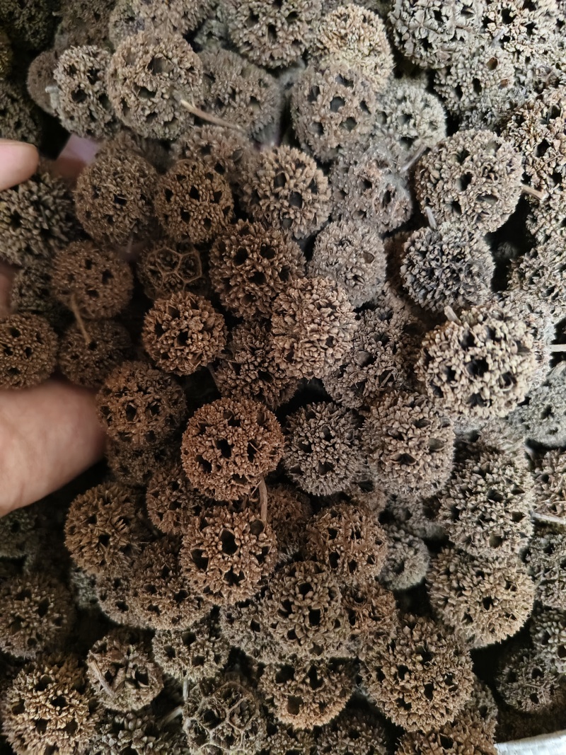 路路通中药材六六通批发零售量大优惠