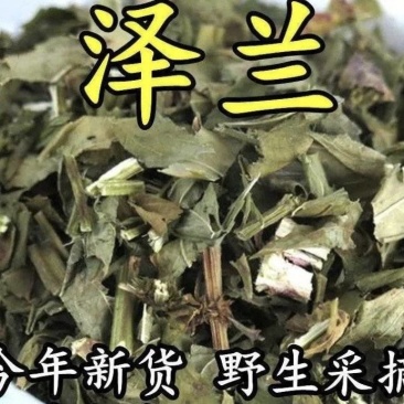 泽兰中药材正宗新货泽兰自然晒干无硫***各种规格批发