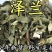 泽兰中药材正宗新货泽兰自然晒干无硫***各种规格批发