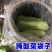 食品级腌酸菜缸专用袋加厚内膜防尘防潮内衬塑料袋腌制韩国泡
