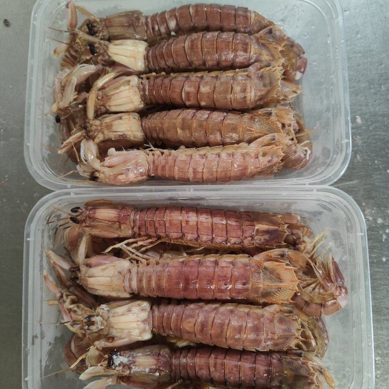 冷冻皮皮虾电商团购