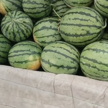 物美价廉