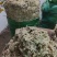 云南精品水苔小花