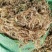云南精品水苔小花