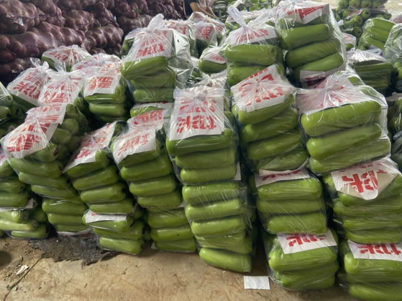 邯郸瓠瓜、精品瓠瓜、大量上市价格优惠，条型好、颜色绿！