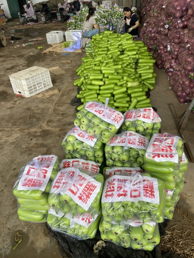 邯郸瓠瓜、精品瓠瓜、大量上市价格优惠，条型好、颜色绿！