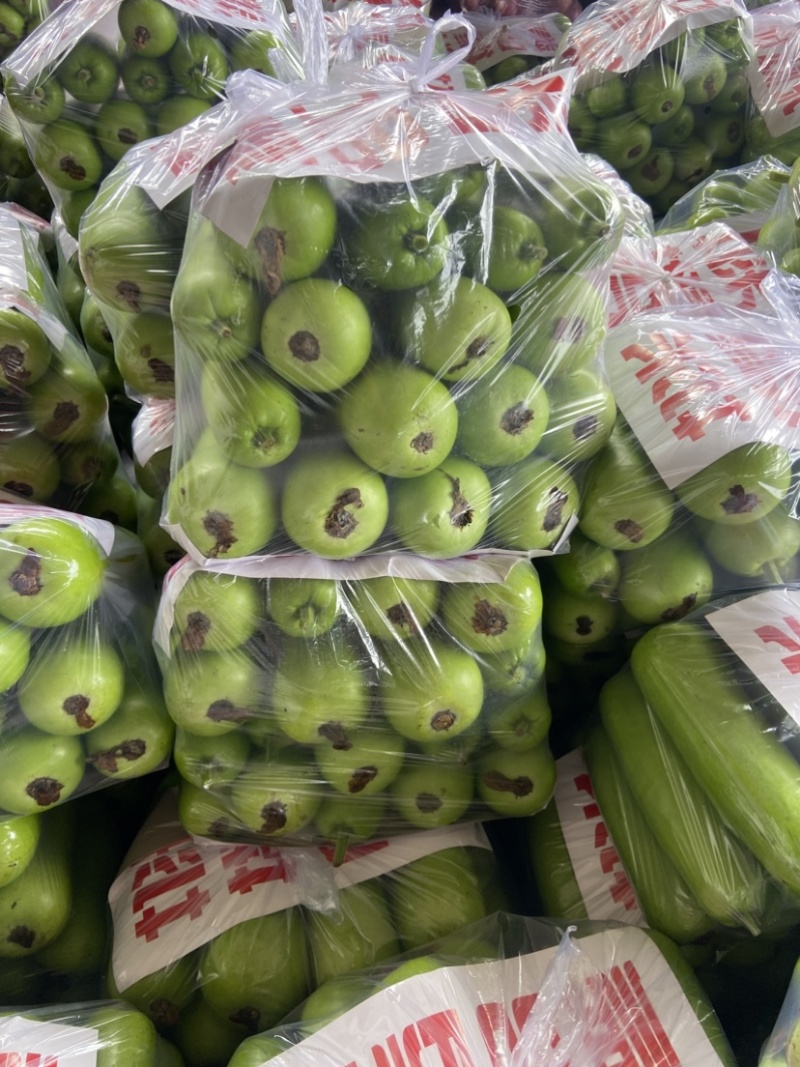 邯郸瓠瓜、精品瓠瓜、大量上市价格优惠，条型好、颜色绿！