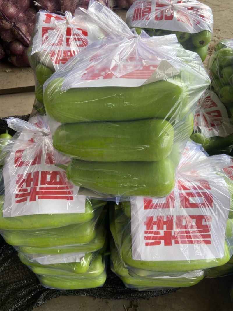 邯郸瓠瓜、精品瓠瓜、大量上市价格优惠，条型好、颜色绿！