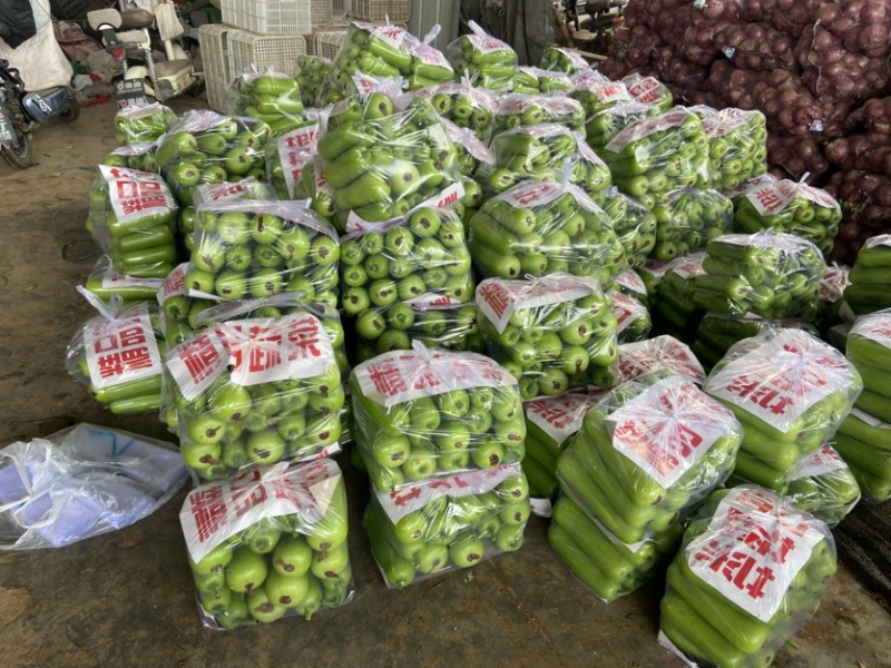 邯郸瓠瓜、精品瓠瓜、大量上市价格优惠，条型好、颜色绿！