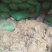 精品水苔小花
