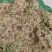 精品水苔小花
