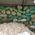 精品水苔小花
