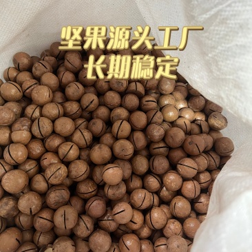 坚果干果夏威夷果