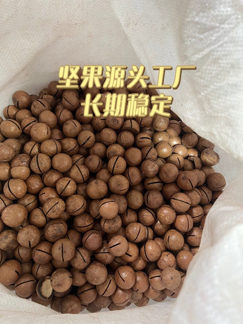 坚果干果夏威夷果