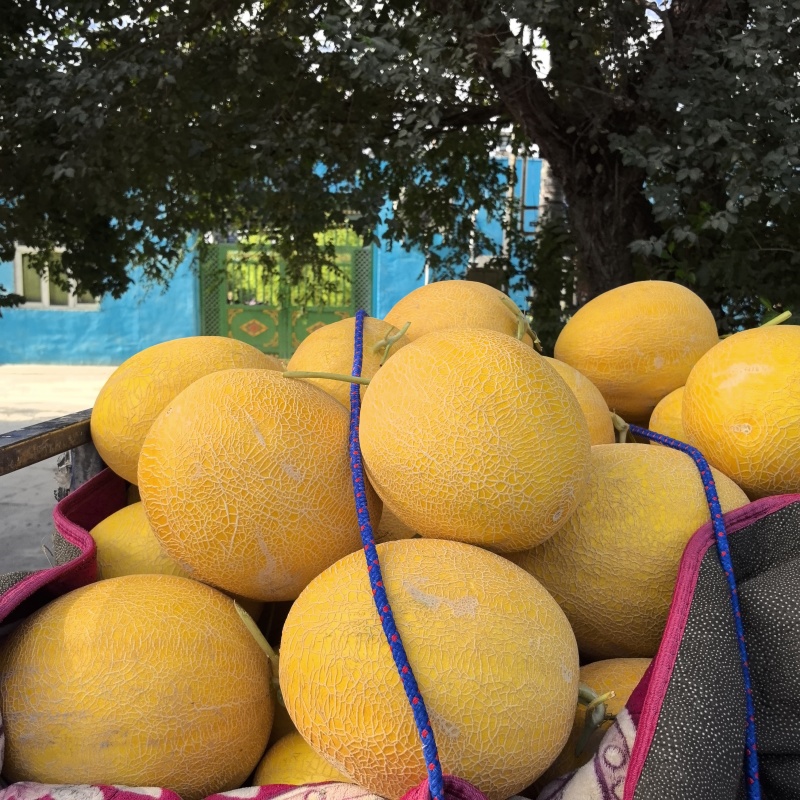 金色年华