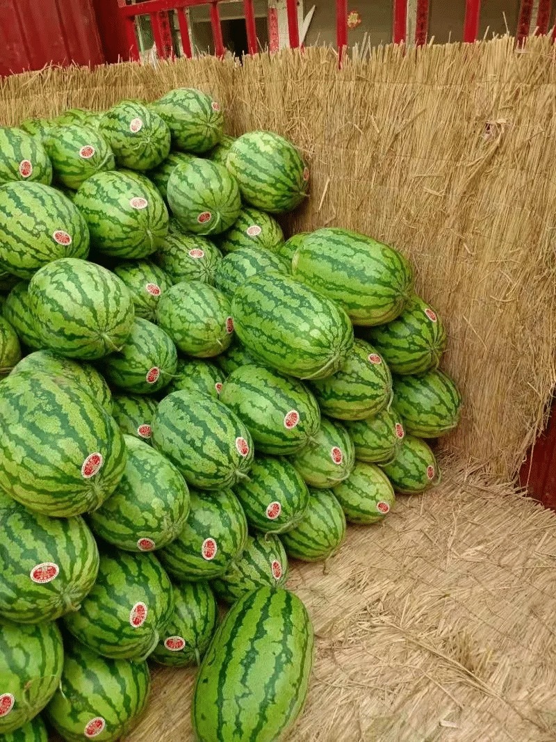 宁夏硒砂瓜石头瓜精品西瓜产地直发量大从优可对接各大平台