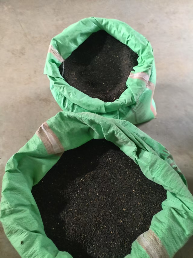精品面条菜种子货源充足量大从优质量保证欢迎咨询