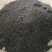 精品面条菜种子货源充足量大从优质量保证欢迎咨询