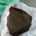 精品面条菜种子货源充足量大从优质量保证欢迎咨询